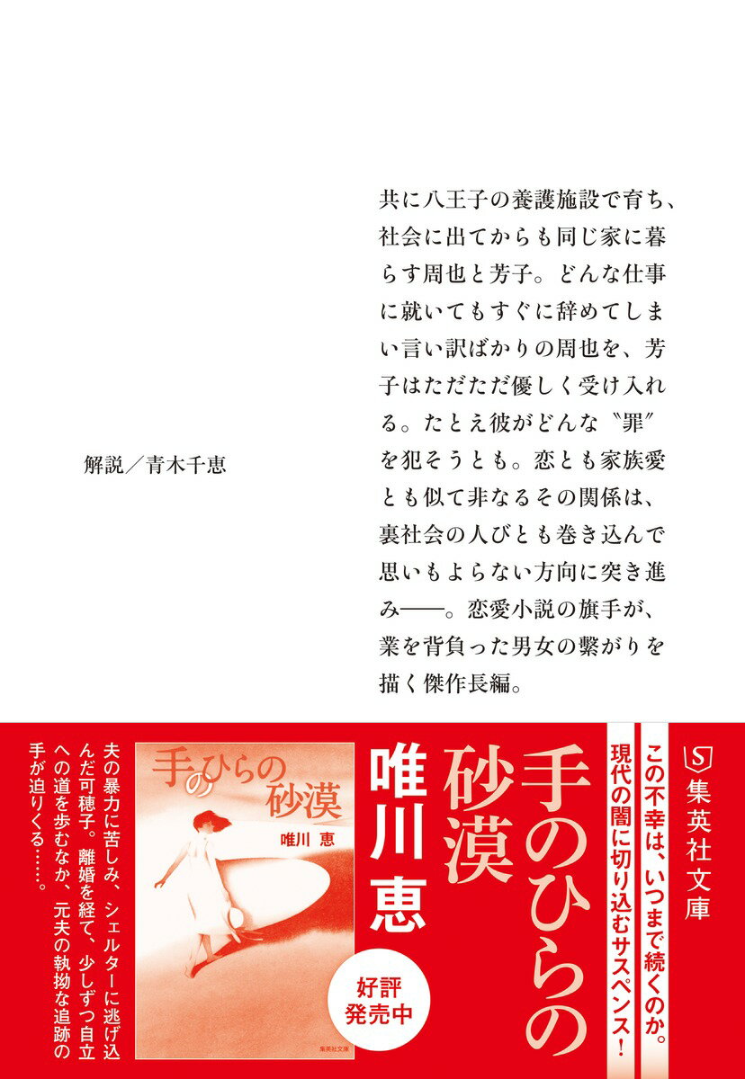 雨心中 (集英社文庫(日本)) [ 唯川 恵 ]の紹介画像3