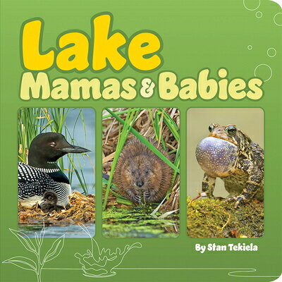 Lake Mamas & Babies LAKE MAMAS & BABIES （Mamas and Babies） [ Stan Tekiela ]