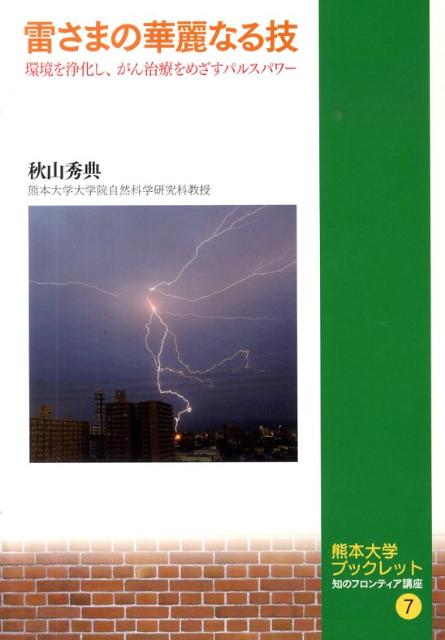 雷さまの華麗なる技