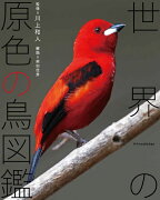 世界の原色の鳥図鑑