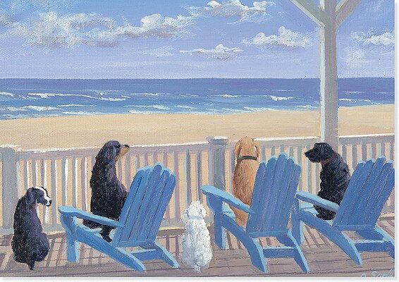 Dogs on Deck Chairs Note Cards [With 15 Designer Envelopes] NOTECARDS-DOGS ON DECK CH-14PK [ Inc Peter Pauper Press ]