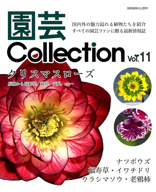 園芸Collection　Vol．11 クリスマスローズ／ナツボウズ／イワチドリ／ウラシマソウ （別冊趣味の山野草）