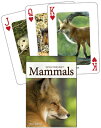 Mammals of the Southeast CD-MAMMALS OF THE SOUTHEA-54PK (Nature's Wild Cards) [ ...