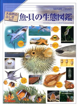 魚・貝の生態図鑑改訂新版 （大自然のふしぎ　増補改訂）