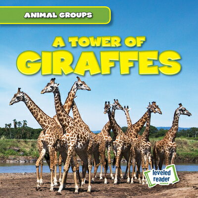 A Tower of Giraffes TOWER OF GIRAFFES （Animal Groups） 