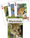 Mammals of the Gulf Coast CD-MAMMALS OF THE GULF CO-54PK (Nature's Wild Cards) [...