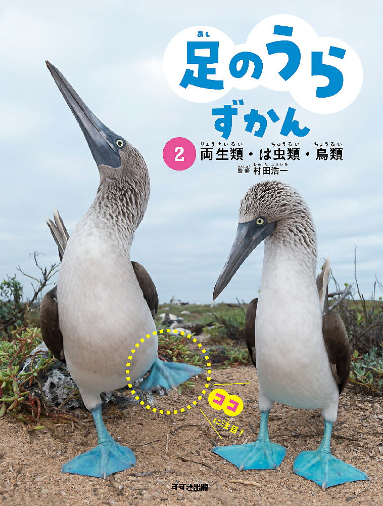 足のうらずかん　2　両生類・は虫類・鳥類 [ 村田浩一 ]