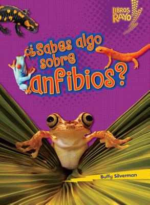 Sabes Algo Sobre Anfibios? (Do You Know about Amphibians?) SPA-SABES ALGO SOBRE ANFIBIOS （Libros Rayo -- Conoce Los Grupos de Animales (Lightning Bolt） [ Buffy Silverman ]