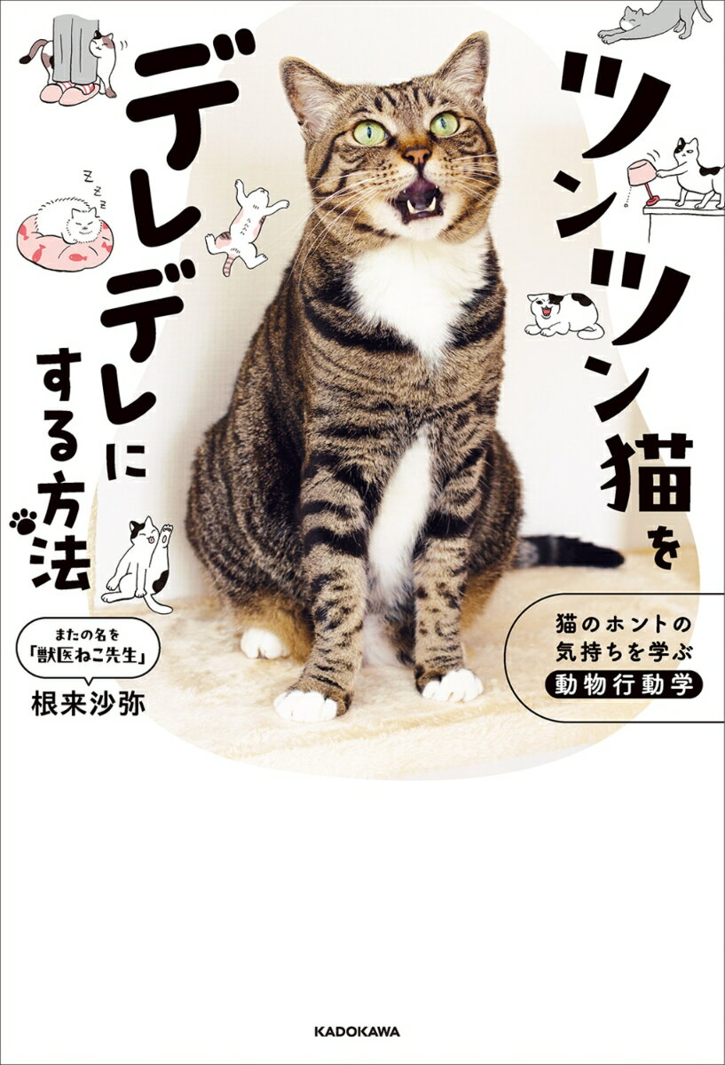 ツンツン猫をデレデレにする方法 猫のホントの気持ちを学ぶ動物行動学 [ 根来　沙弥 ]