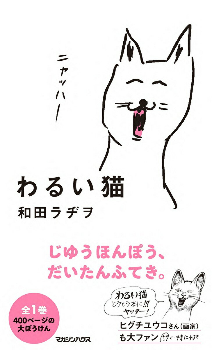 わるい猫 表紙