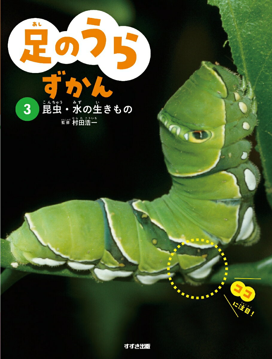 足のうらずかん　3 昆虫・水の生きもの [ 村田浩一 ]