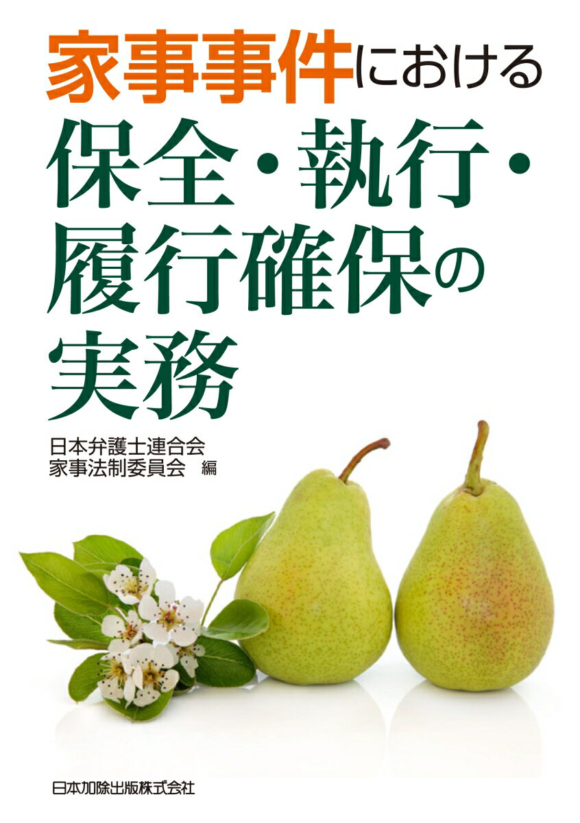 家事事件における保全・執行・履行確保の実務