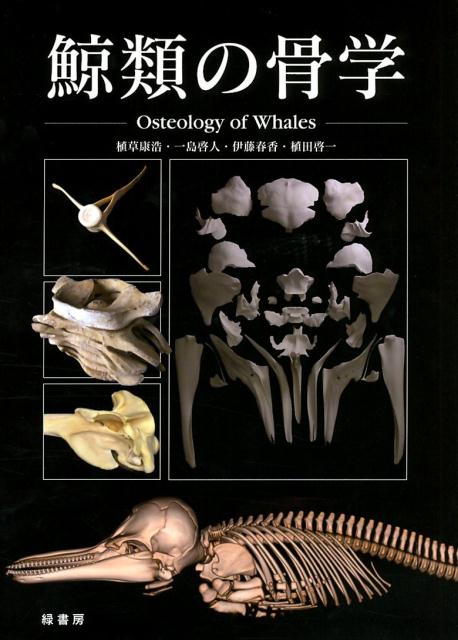 鯨類の骨学 Osteology　of　Whales [ 植草康浩 ]