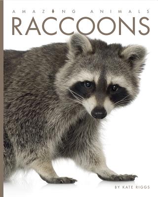 Raccoons RACCOONS （Amazing Animals） [ Kate Riggs ]