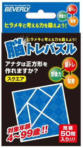 NT-001 脳トレパズル スクエア