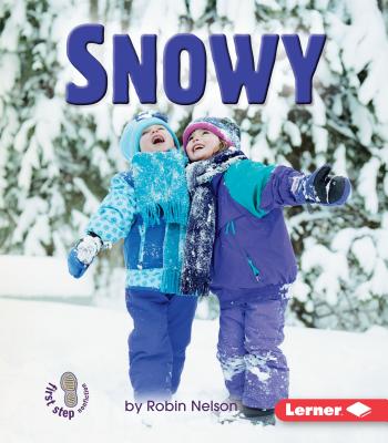 A basic introduction to what you see on a snowy day