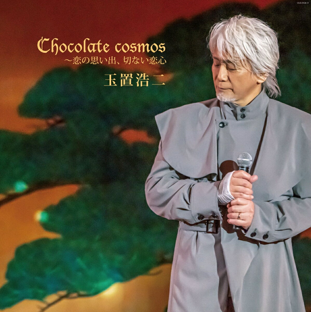 Chocolate cosmos 〜恋の思い出、切ない恋心【アナログ盤】