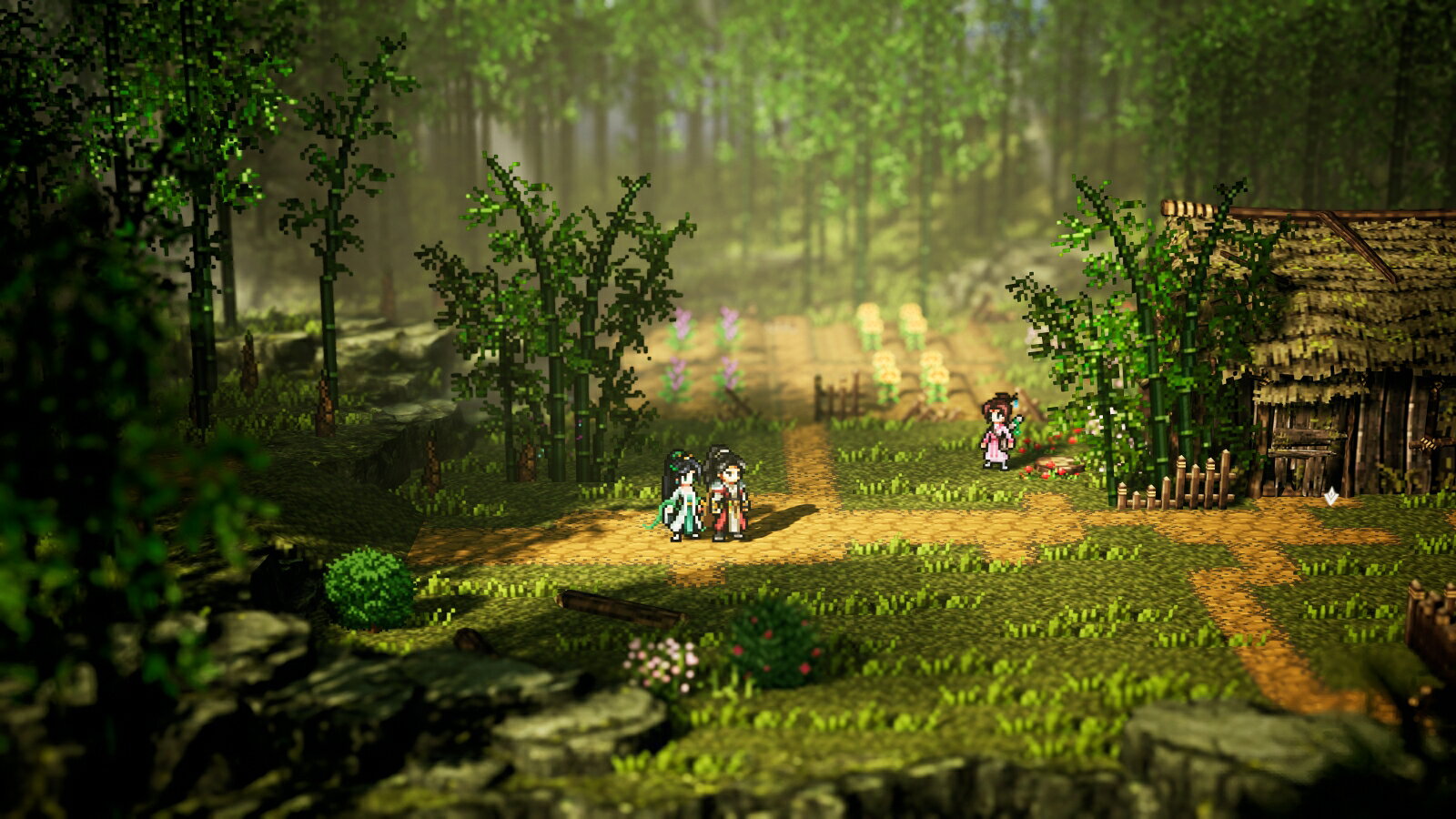 特典 Wandering Sword ～逸剣風雲決～ Switch2版( 早期購入封入特典 DLC) book-22096917 楽天ブックス サンプル画像3