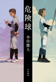 危険球の表紙