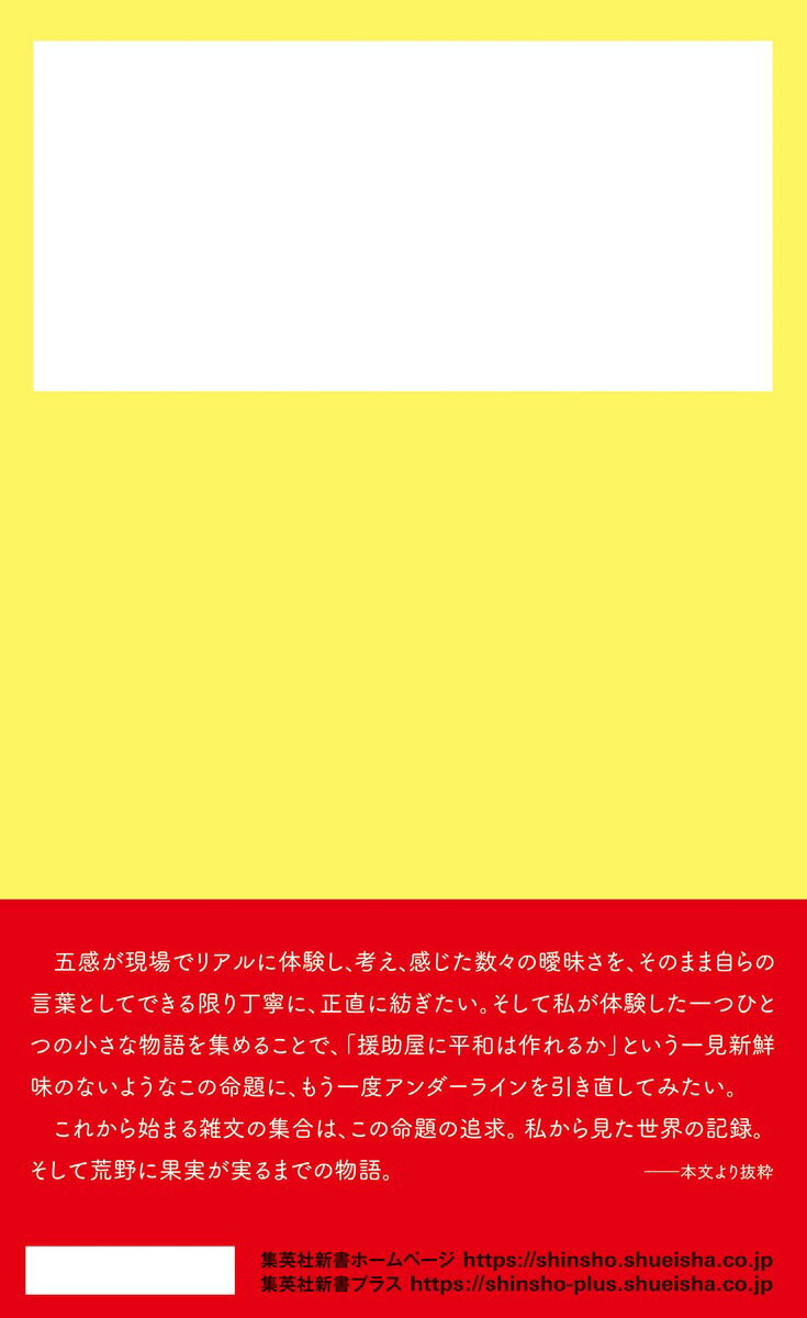 荒野に果実が実るまで 新卒23歳 アフリカ駐在...の紹介画像3