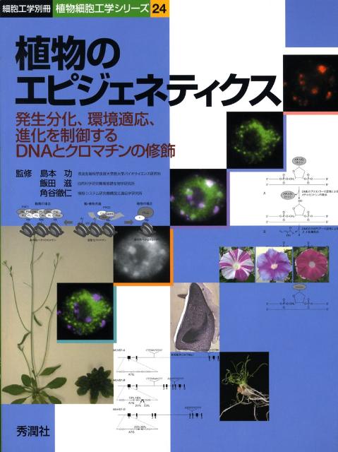 植物のエピジェネティクス