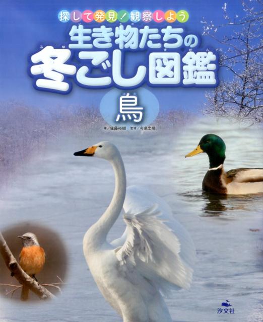 生き物たちの冬ごし図鑑鳥