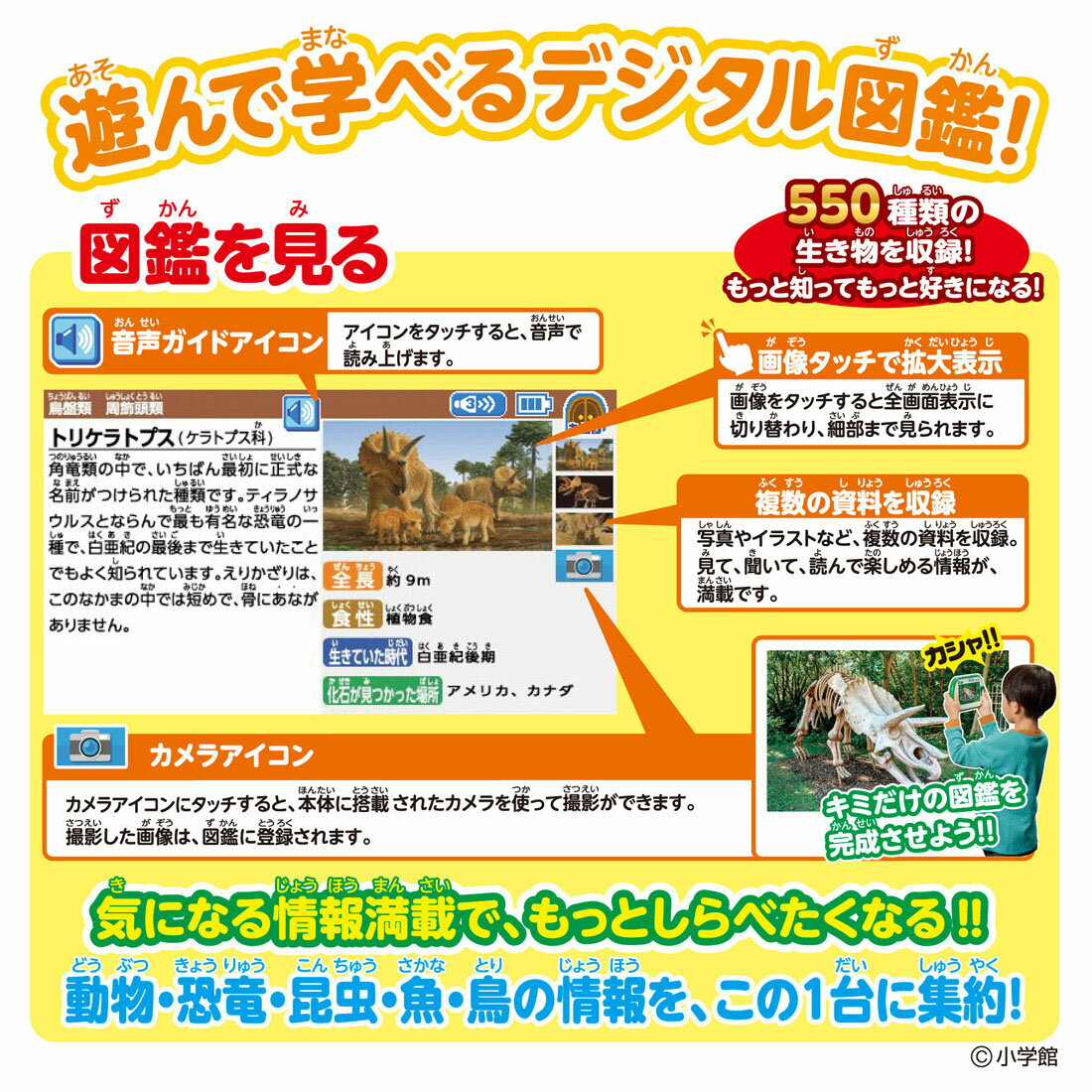 アニアとあそぼう！小学館の図鑑NEOPad 3