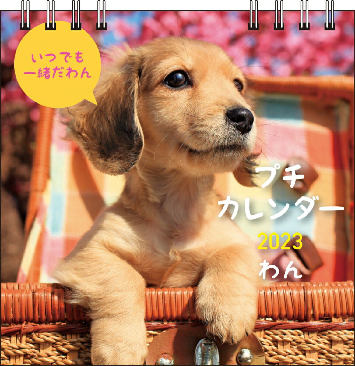 2023　わん　プチカレンダー　【S1】