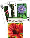 Wildflowers of the Gulf Coast CD-WILDFLOWERS OF THE GUL-54PK (Nature's Wild Card...