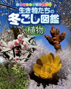 生き物たちの冬ごし図鑑植物