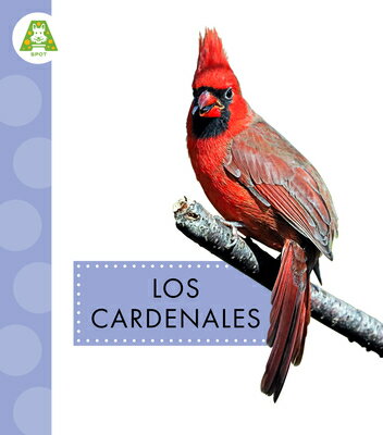 Los Cardenales SPA-CARDENALES （Aves del Jardn） 