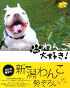 新潟わんこ大好き!