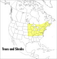 All the wild trees, shrubs, and woody vines in the area north to Newfoundland, south to North Carolina and Tennessee, and west to the Dakotas and Kansas are described in detail. Accounts of 646 species include shape and arrangement of leaves, height, color, bark texture, flowering season, and fruit. Clear, accurate drawings illustrate leaves, flowers, buds, tree silhouettes, and other characteristics.