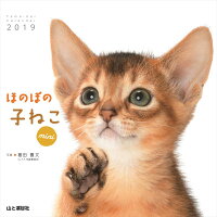 ほのぼの子ねこminiカレンダー（2019）