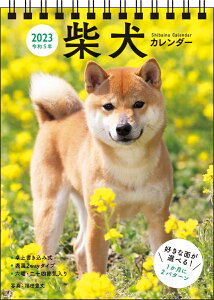 2023　柴犬カレンダー　卓上書き込み式　［B6タテ］　【S3】 （永岡書店のカレンダー） [ 福田豊文 ]