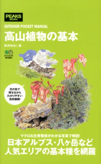 高山植物の基本