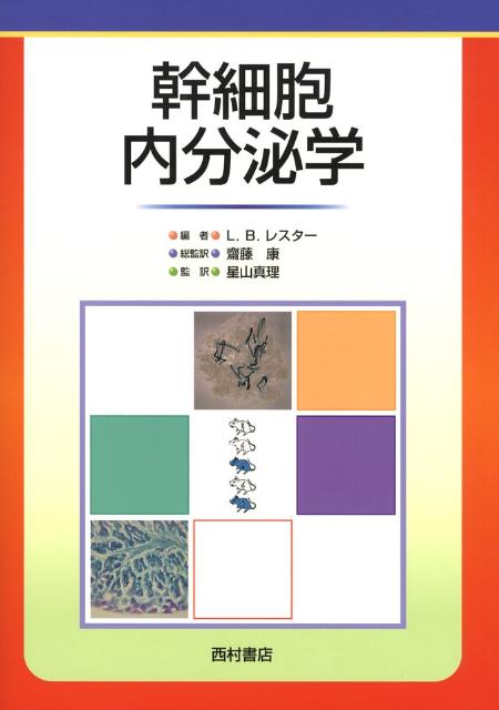 幹細胞内分泌学