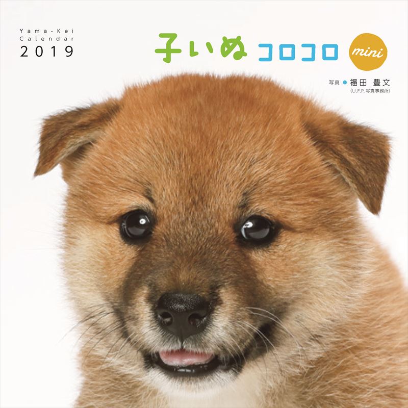 子いぬコロコロminiカレンダー（2019）