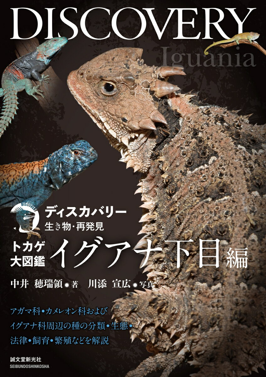 トカゲ大図鑑 イグアナ下目編 アガマ科・カメレオン科およびイグアナ科周辺の種の分類・生態・法律・飼育・繁殖などを解説 （ディスカバリー生き物・再発見） [ 中井 穂瑞領 ]