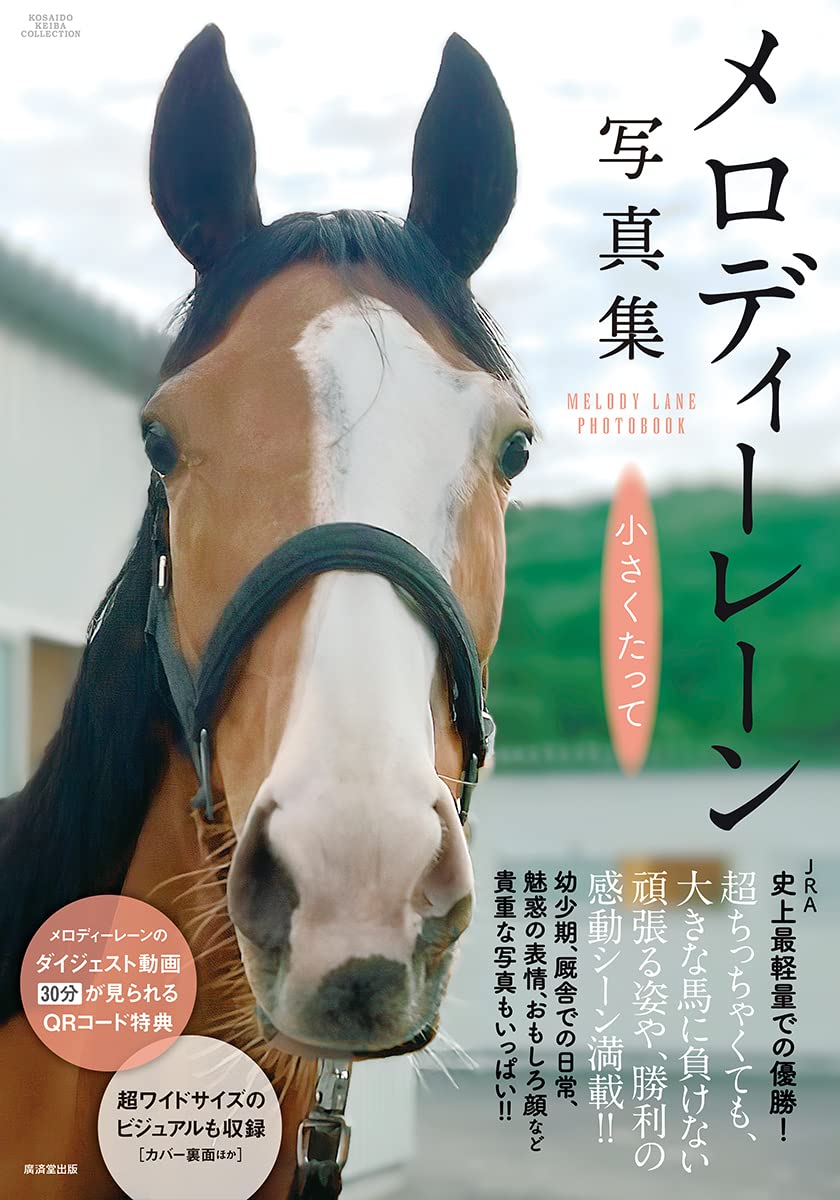 メロディーレーン写真集の表紙