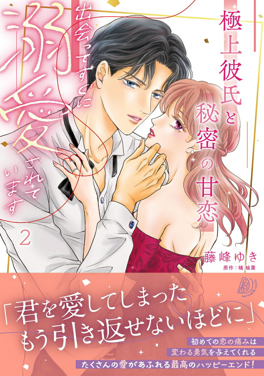 極上彼氏と秘密の甘恋〜出会ってすぐに溺愛されています〜 2