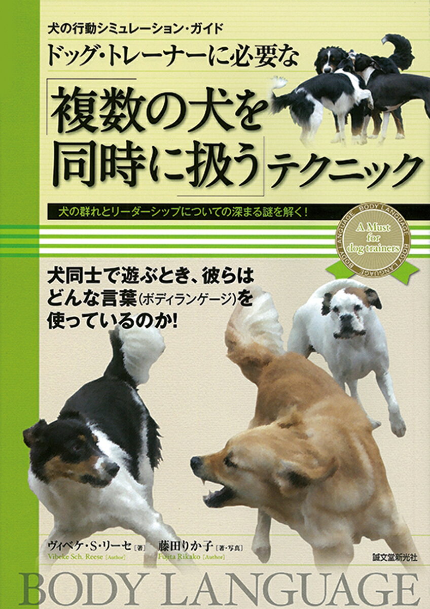 犬同士で遊ぶとき、彼らはどんな言葉（ボディランゲージ）を使っているのか！犬の群れとリーダーシップについての深まる謎を解く。