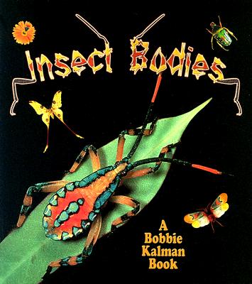 Insect Bodies INSECT BODIES （World of Insects） 