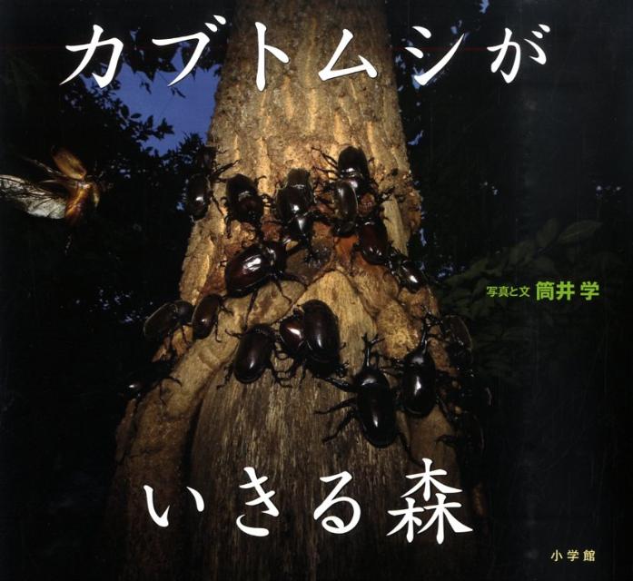 カブトムシがいきる森 （小学館の図鑑NEOの科学絵本） 筒井 学