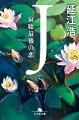 二人が出会った時、Ｊは八十五歳。有名作家であり尼僧。人生最後の恋の相手は、母袋晃平、ＩＴ企業を経営する三十七歳。Ｊは二十代で夫と娘を捨て出奔。男性作家と浮き名を流し、次々と問題作を発表。五十歳をすぎて仏門に入るも創作活動はより勢いを増した。老いてこそ身体も心も業火のごとく燃える愛。“老いの自由”を描く痛切な純愛小説。