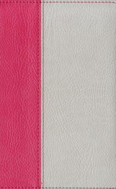 プラチナダイアリー・プレステージカバーS-190 [ 成美堂出版編集部 ]