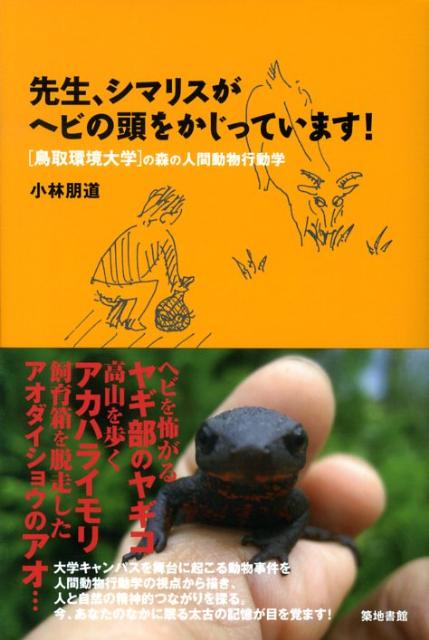 先生、シマリスがヘビの頭をかじっています！