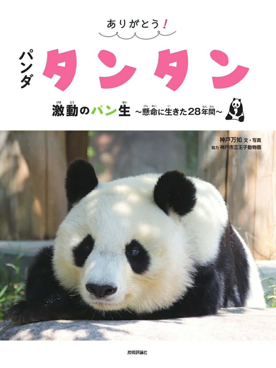 楽天市場】タンタン カレンダー パンダの通販 楽天市場】タンタン カレンダー パンダの通販