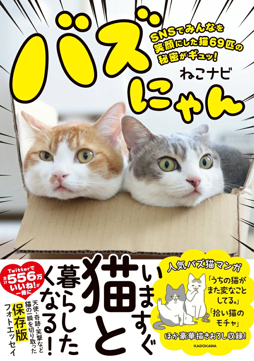 バズにゃん SNSでみんなを笑顔にした猫69匹の秘密がギュッ！（1）