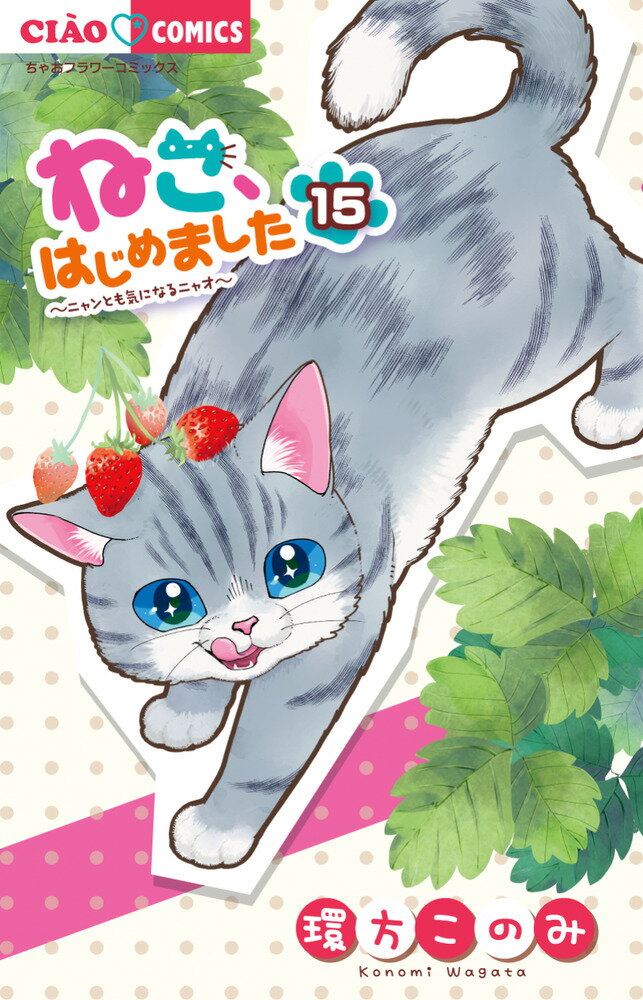 ねこ、はじめました（15）